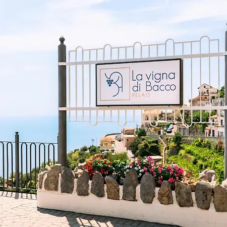 La Vigna di Bacco-2
